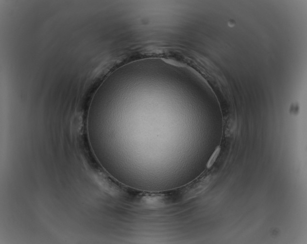 X0000092270560200709281226