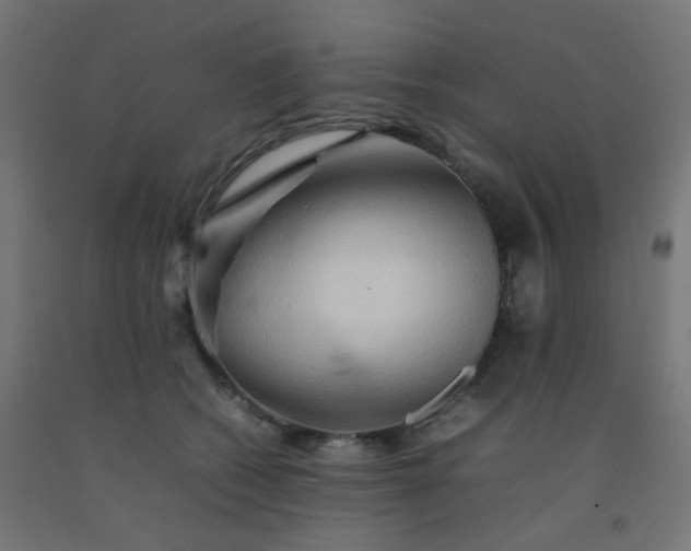 X0000092270562200709281226