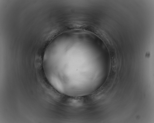 X0000092270563200709281226