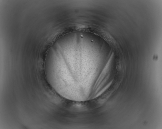 X0000092270565200709281226