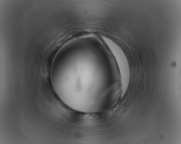 X0000092270566200709281226