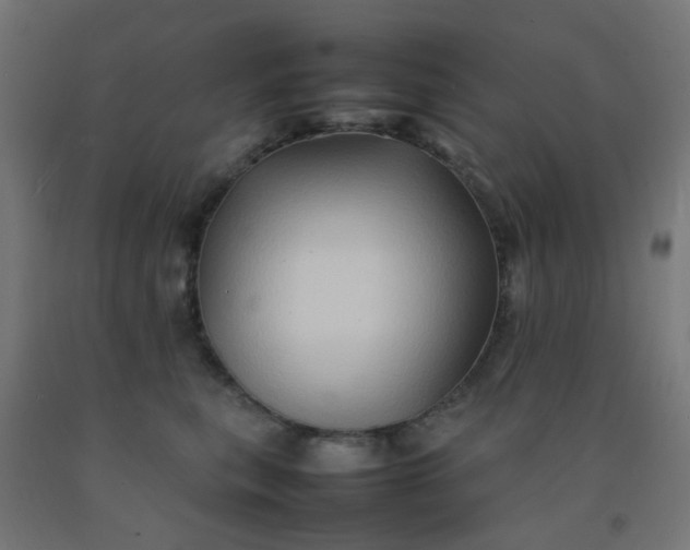 X0000092270567200709281226