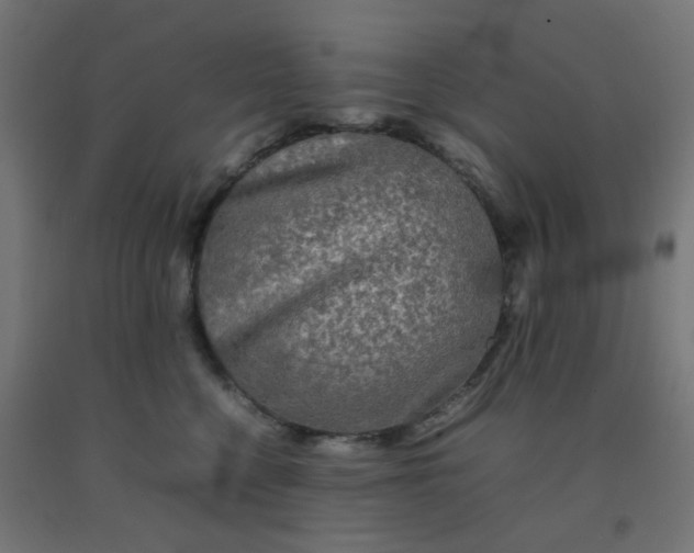 X0000092270568200709281226