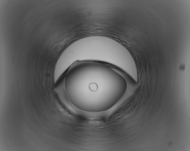 X0000092270570200709281226