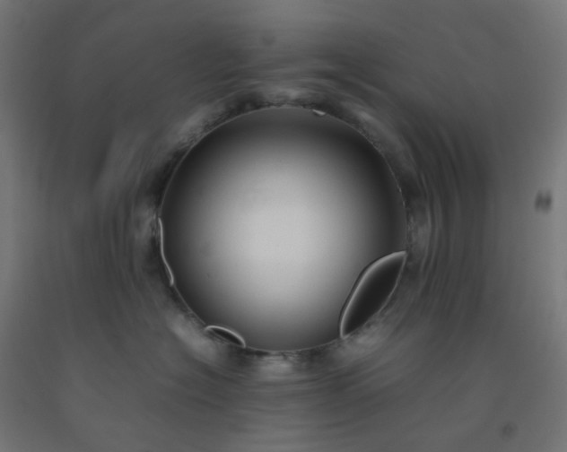 X0000092270574200709281226