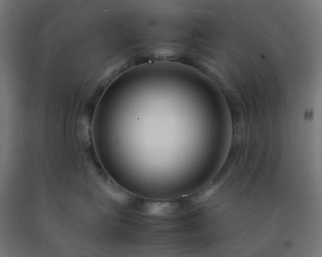 X0000092270575200709281226