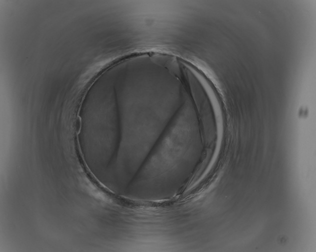 X0000092270577200709281225