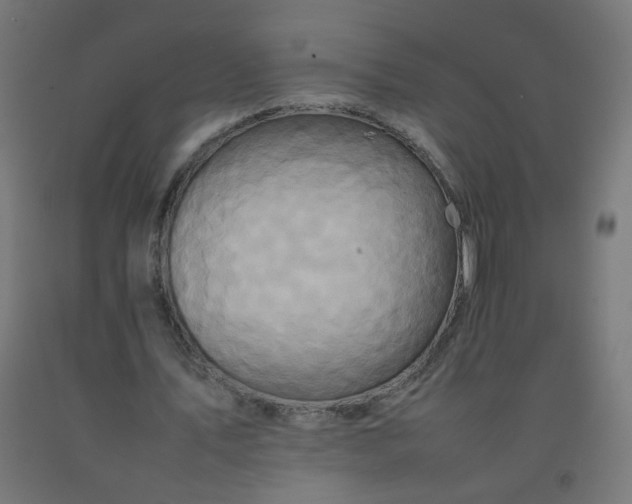 X0000092270579200709281225