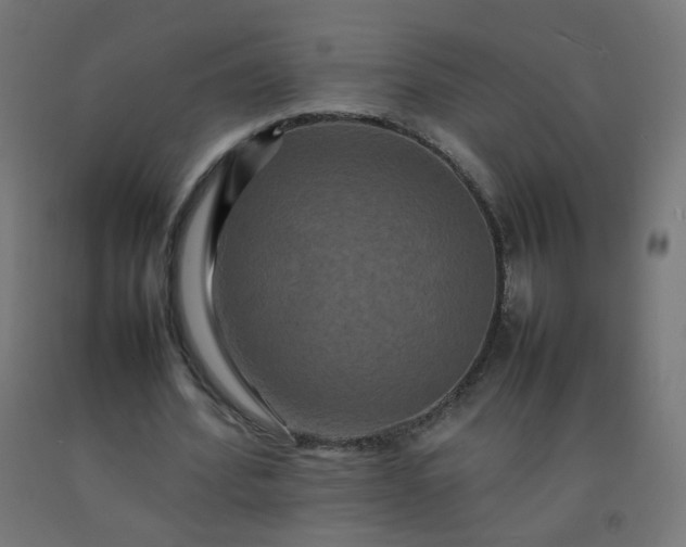 X0000092270580200709281225