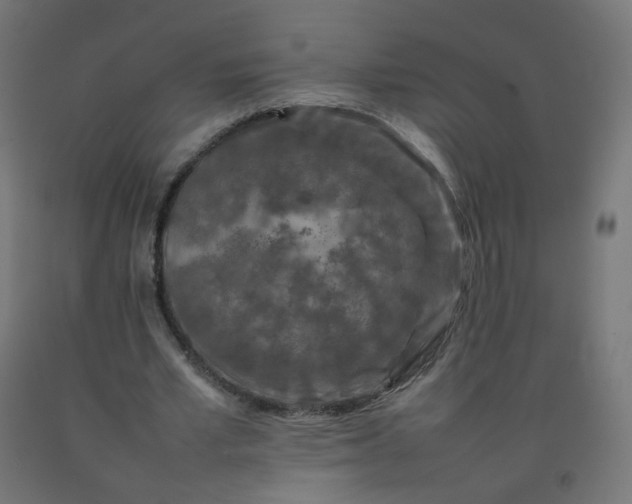 X0000092270581200709281225