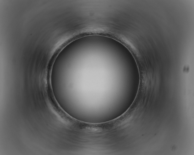 X0000092270582200709281225
