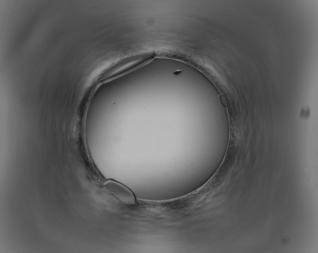 X0000092270583200709281225