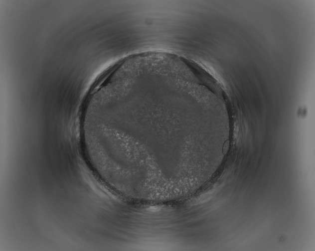 X0000092270584200709281225