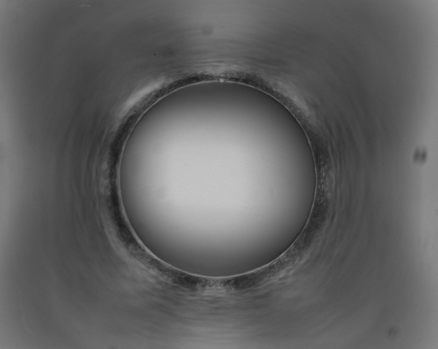 X0000092270587200709281225