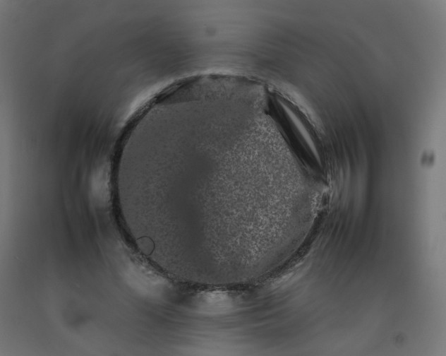 X0000092270588200709281225