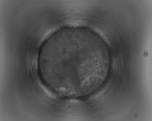 X0000092270590200709281225