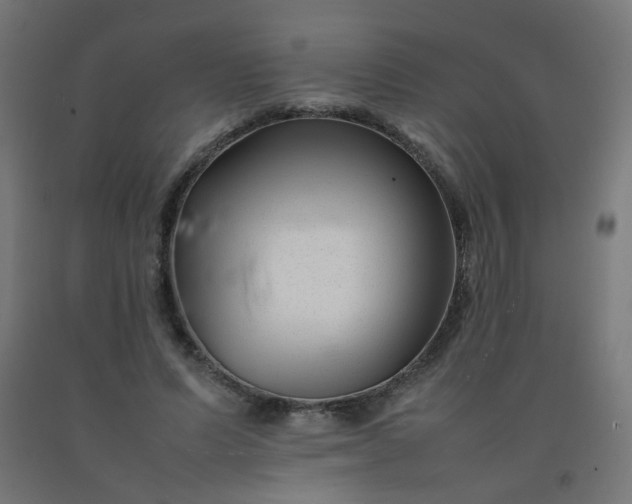 X0000092270591200709281225