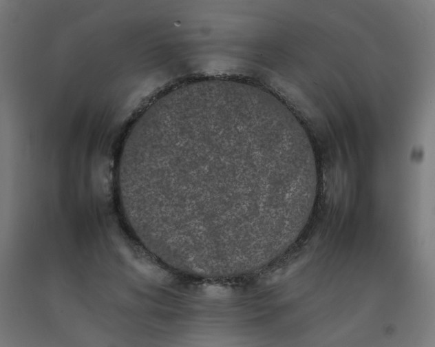 X0000092270592200709281225