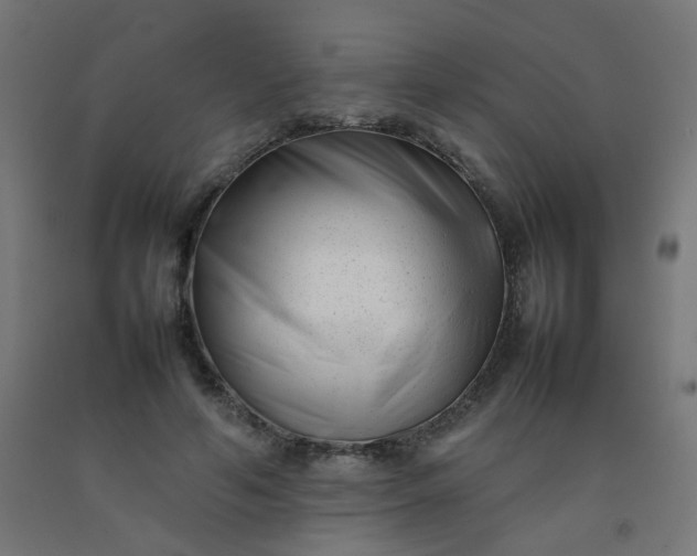 X0000092270594200709281225