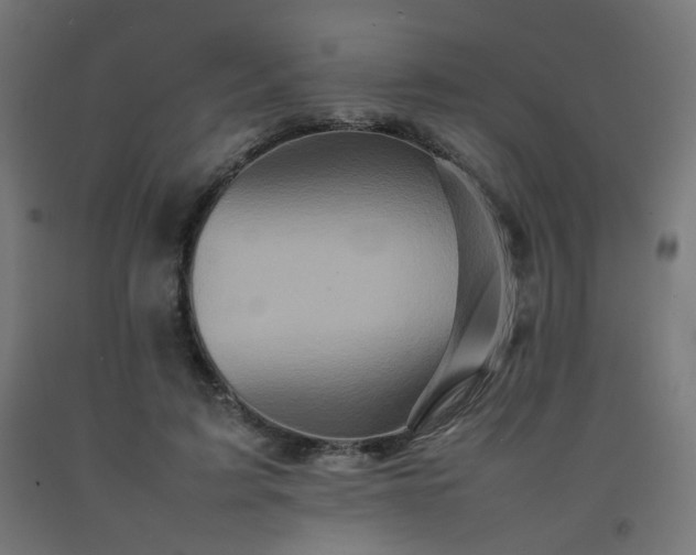 X0000092270595200709281225