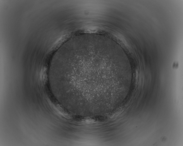 X0000092270598200709281225