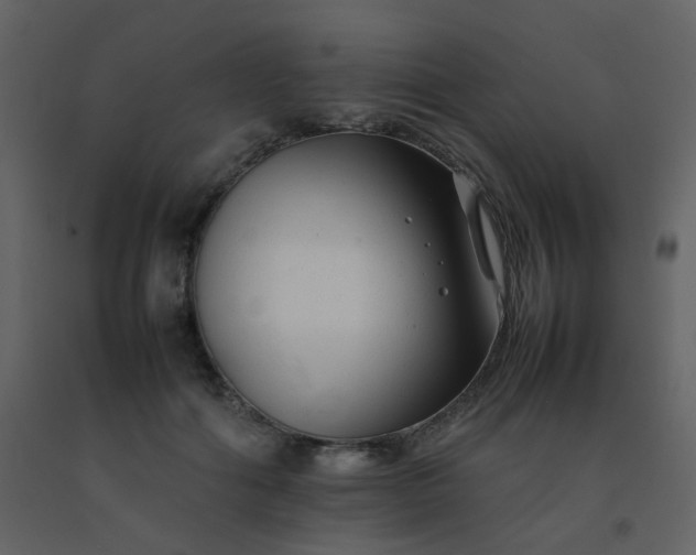X0000092270602200709281225