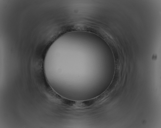 X0000092270603200709281225