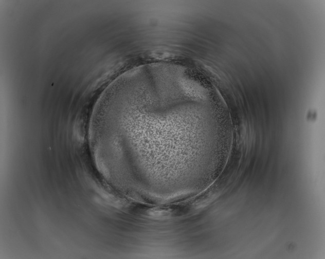 X0000092270606200709281225