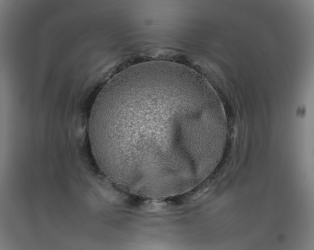 X0000092270607200709281225