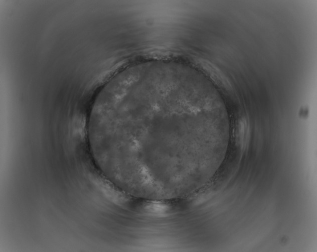 X0000092270610200709281225