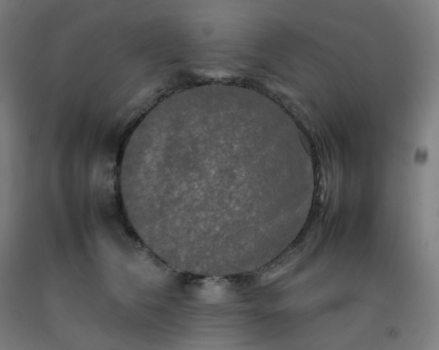 X0000092270612200709281225