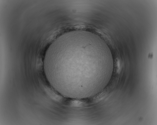 X0000092270614200709281225