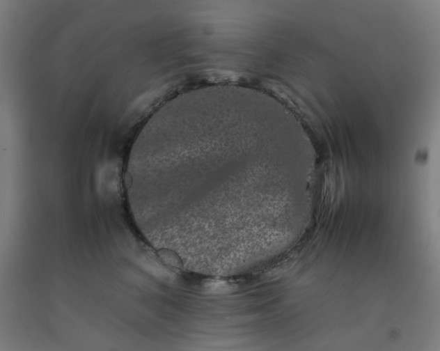 X0000092270616200709281225