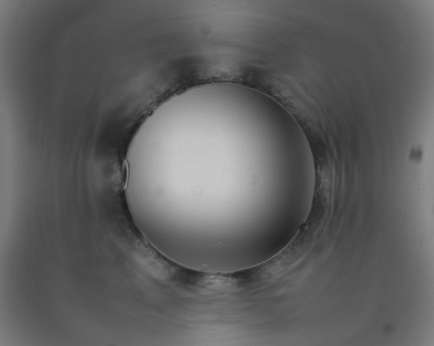 X0000092270617200709281225