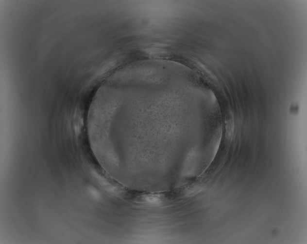 X0000092270618200709281225