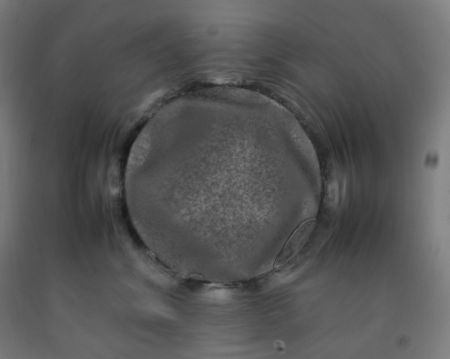 X0000092270620200709281225