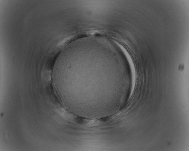 X0000092270621200709281225