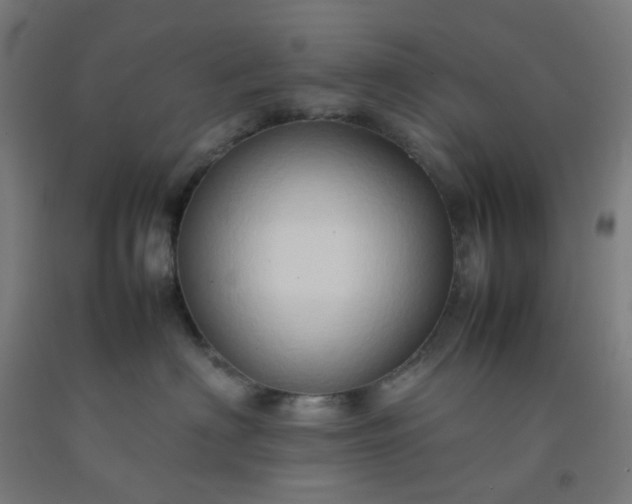 X0000092270622200709281225