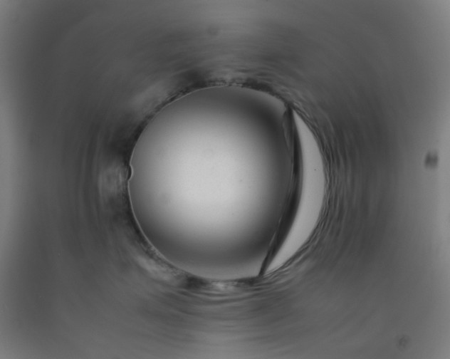 X0000092270623200709281225