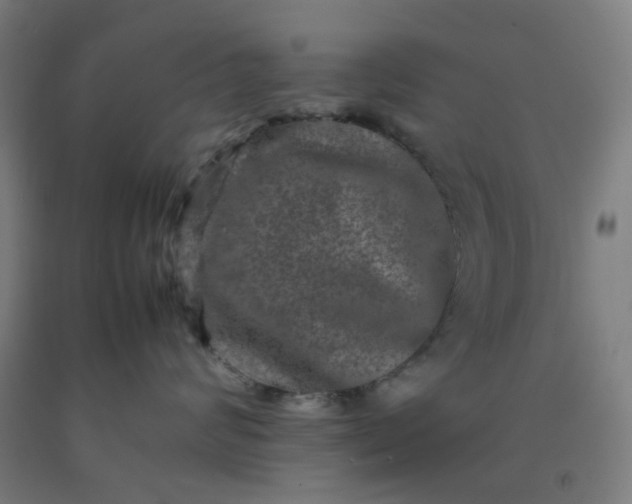 X0000092270624200709281225