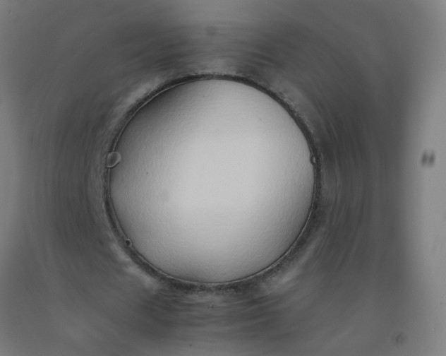 X0000092270625200709281224