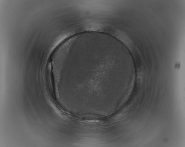 X0000092270626200709281224