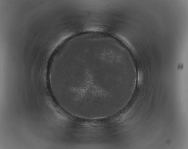 X0000092270627200709281224