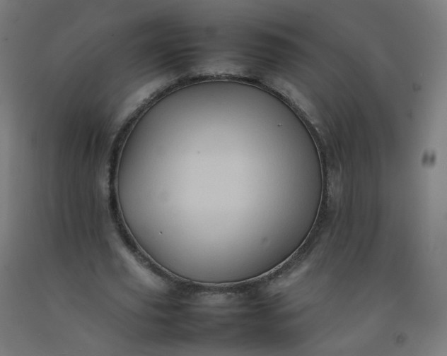 X0000092270629200709281224