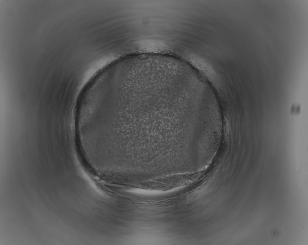 X0000092270630200709281224
