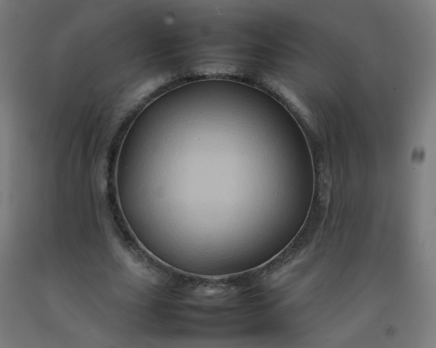 X0000092270631200709281224