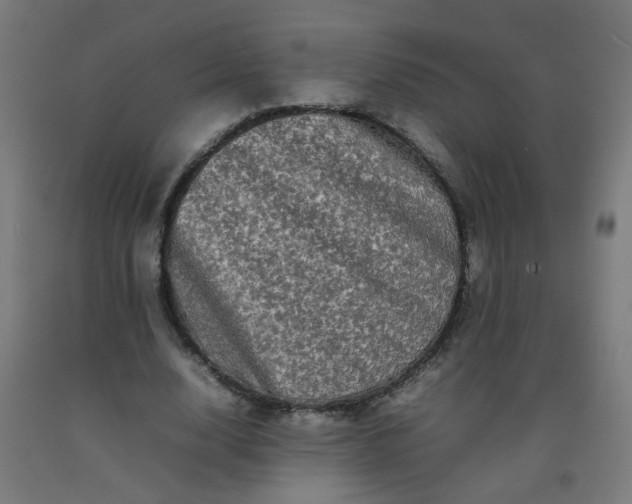 X0000092270632200709281224