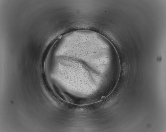 X0000092270634200709281224