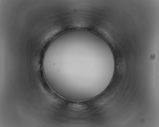 X0000092270635200709281224