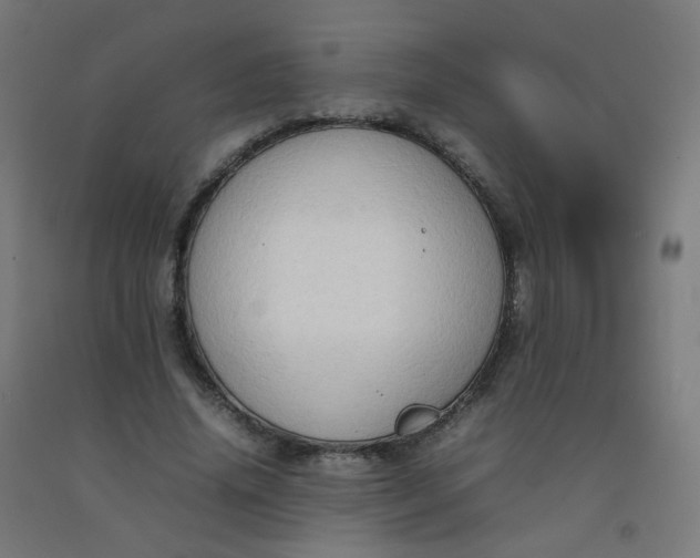 X0000092270636200709281224